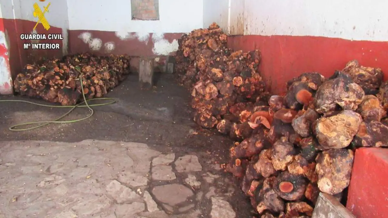 Material intervenido en Jimena. - A. I.