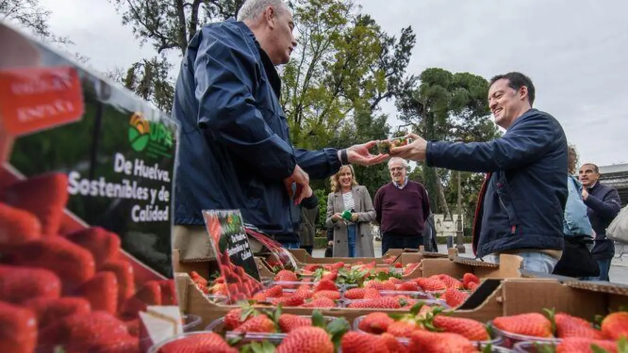 UPA defiende en Sevilla el consumo de fresas de Huelva. - EP