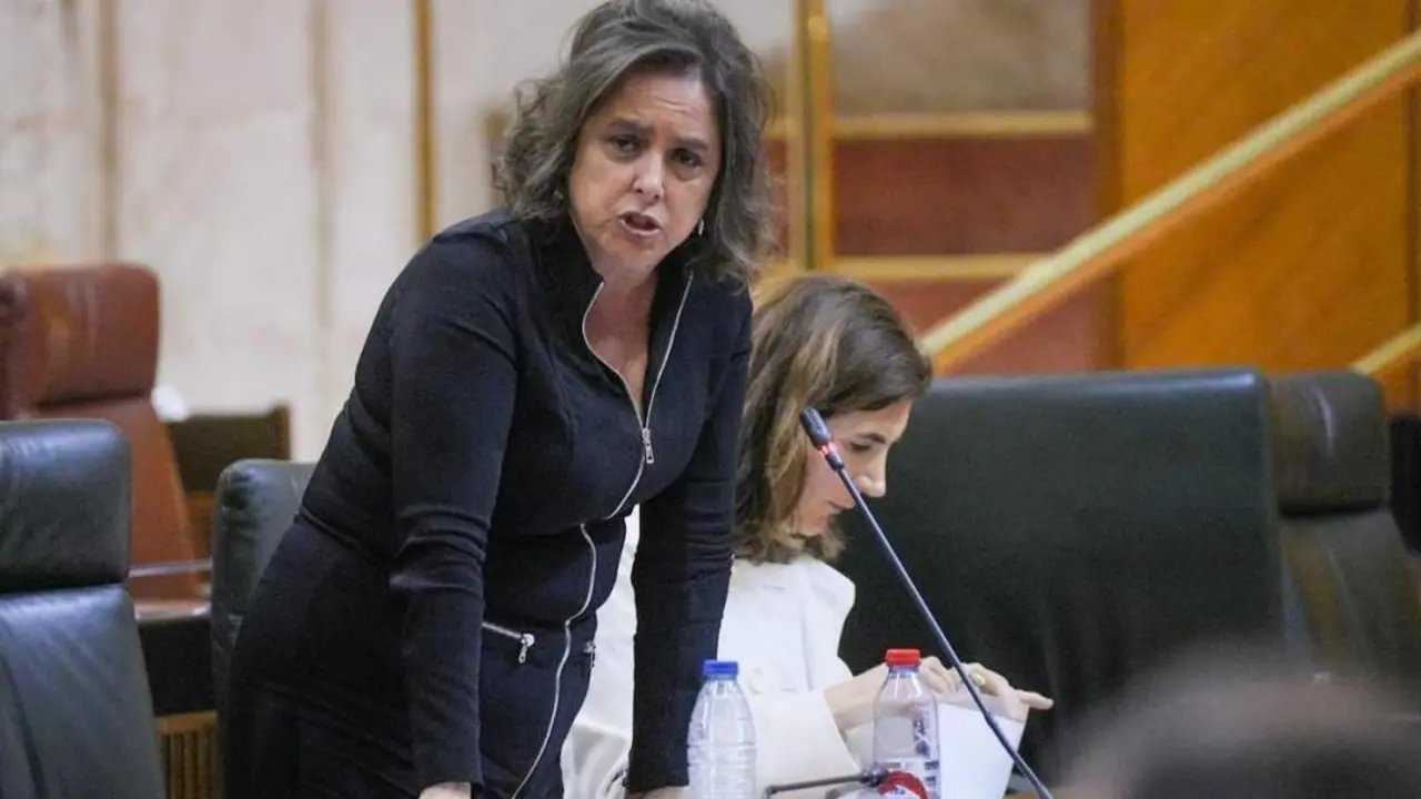 La consejera de Salud y Consumo, Catalina Garc&iacute;a. - EP