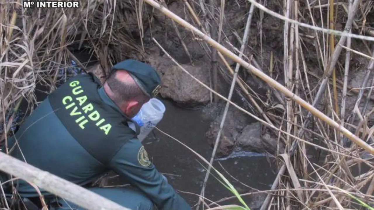 Inspecci&oacute;n del Seprona en el Arroyo San Crist&oacute;bal. - Guardia Civil.