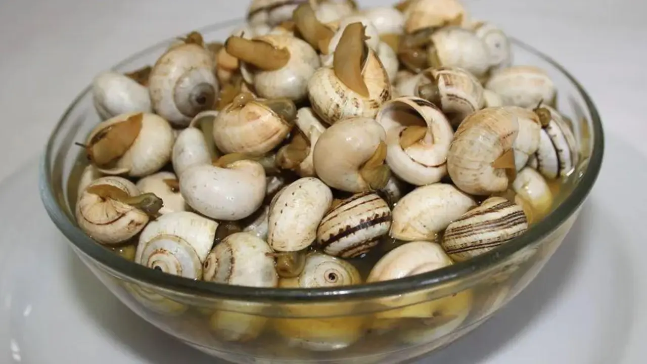 Plato de caracoles - Viva Rota