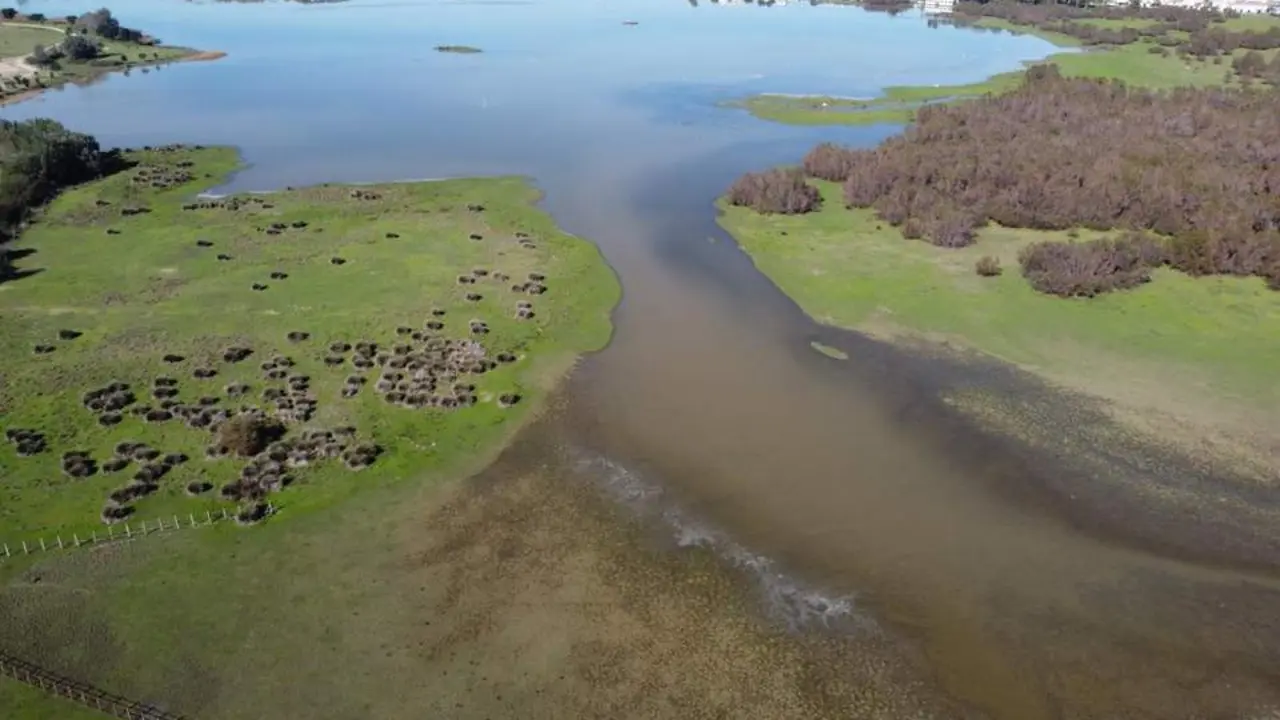 Marisma de Do&ntilde;ana. - CSIC