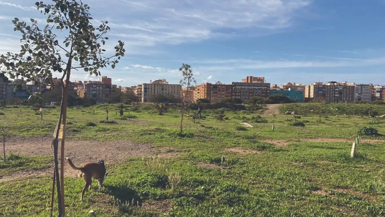 Imagen de archivo de la zona de las antiguos terrenos de Repsol. - BUM