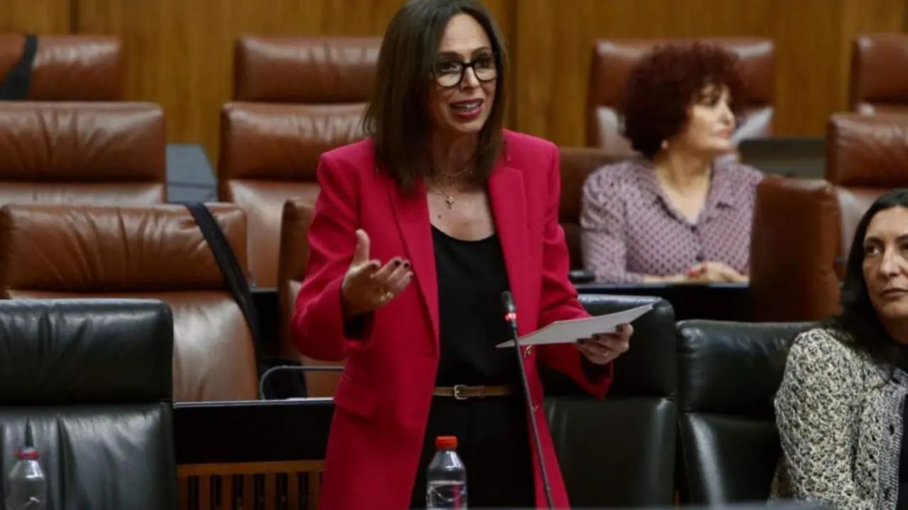 La consejera en el Parlamento. - VH
