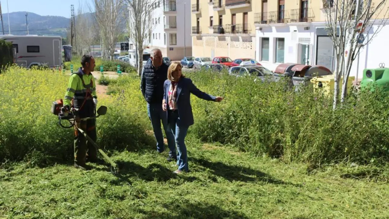 Labores de desbroce en la zona de la UE-19. - 