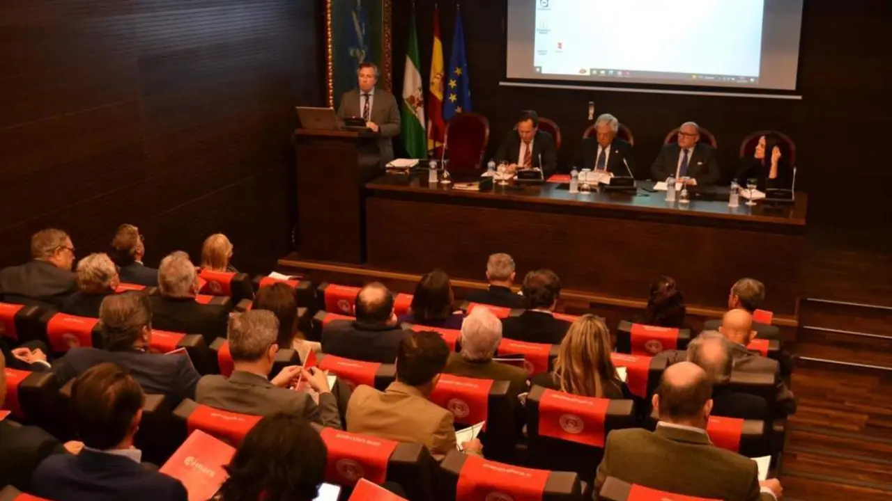 EL PLENO DE LA C&Aacute;MARA DE COMERCIO DE SEVILLA. - CES