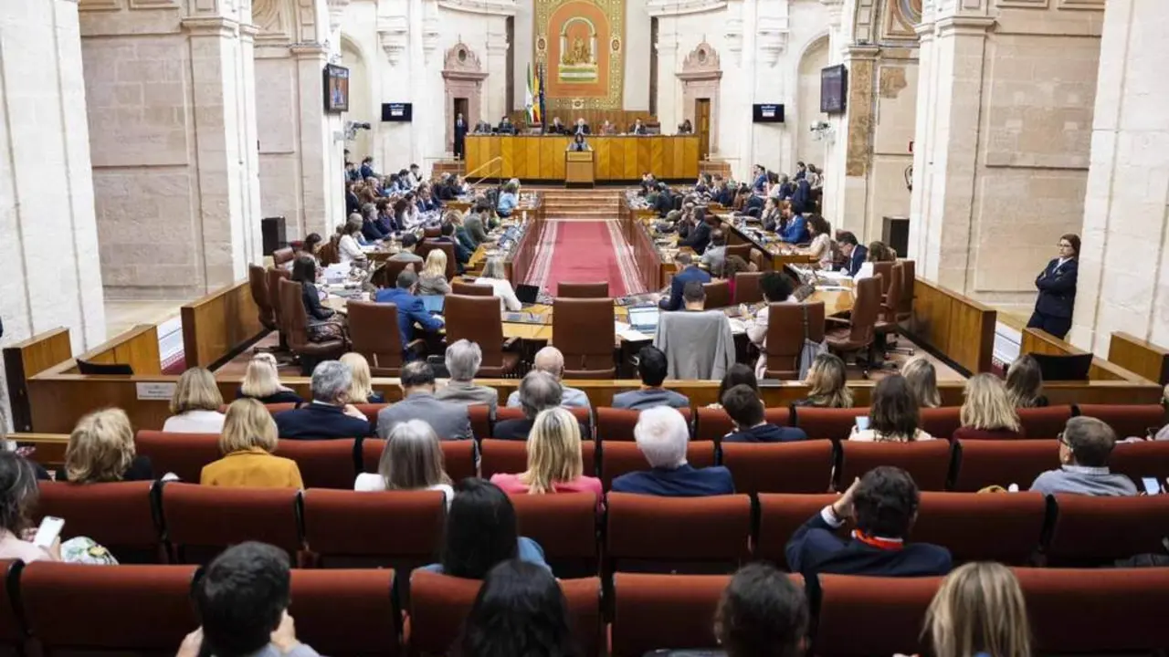 Pleno del Parlamento celebrado este viernes. - PARLAMENTO