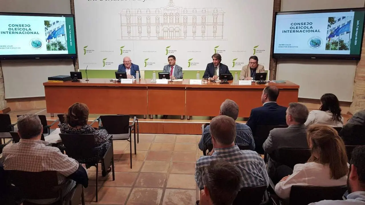 El director del COI, en una charla de la APJ ayer en Ja&eacute;n.  - Diputaci&oacute;n de Ja&eacute;n