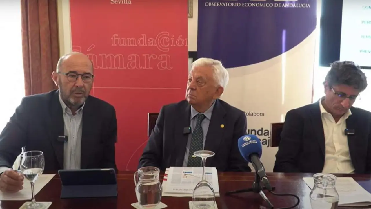 Un momento de la presentaci&oacute;n del informe de EOA. - CCS