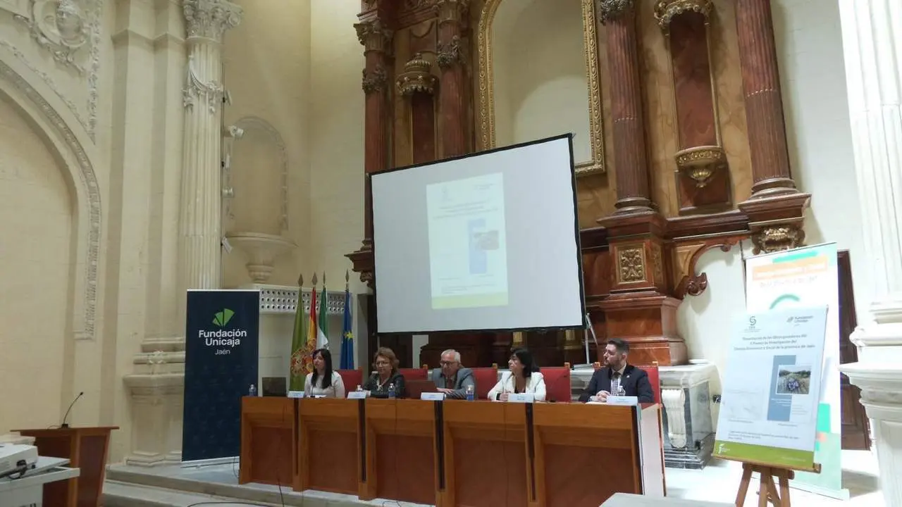 Publicaci&oacute;n de las investigaciones.  - VIVA Ja&eacute;n