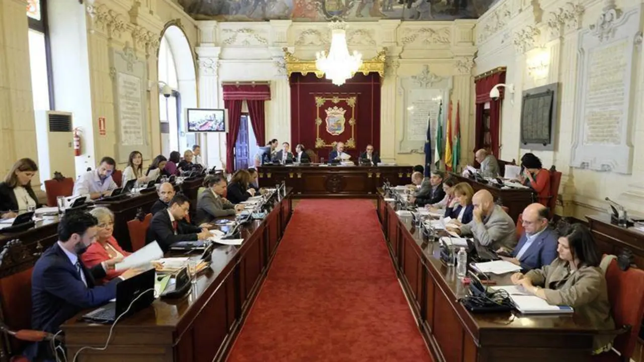 Pleno M&aacute;laga (archivo). - EP