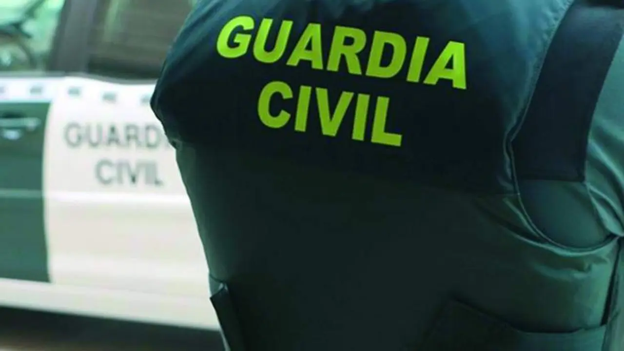 La Guardia Civil practic&oacute; las detenciones hace unos d&iacute;as. - 