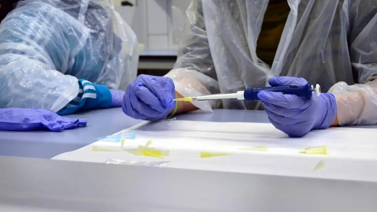 Laboratorios. - 