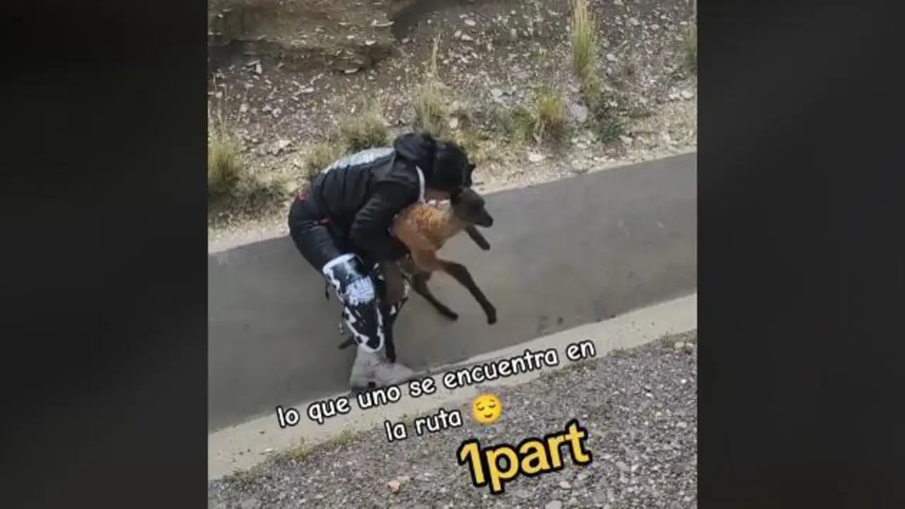  - @routesarmando / TikTok