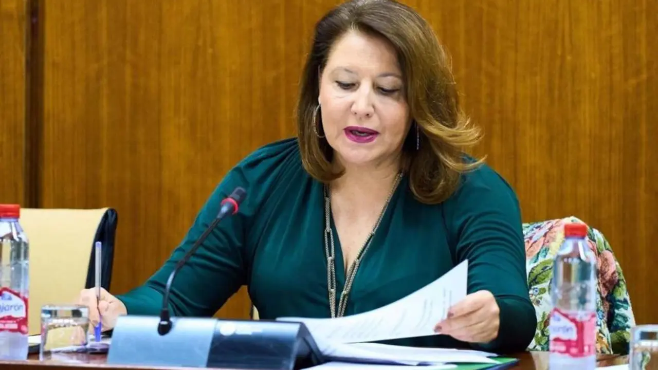 Carmen Crespo en una Comisi&oacute;n Parlamentaria - J.A.
