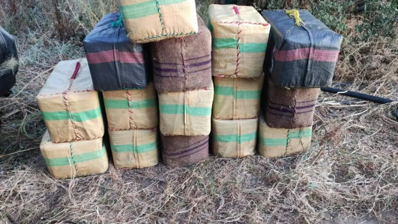 Imagen de la droga incautada.  - Guardia Civil
