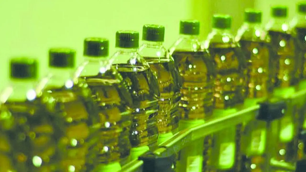 Envasadora de aceite de oliva. - ARCHIVO