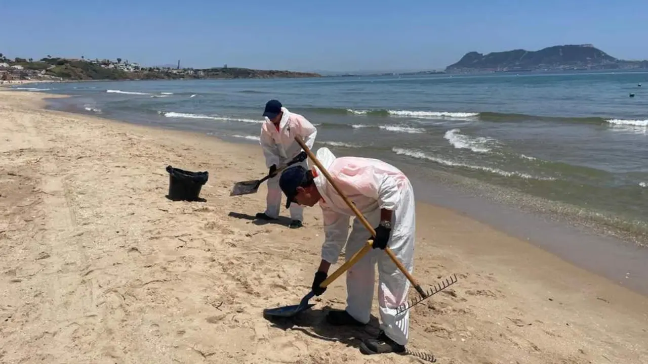 Personal del servicio municipal de limpieza y mantenimiento de playas. - Ayuntamiento