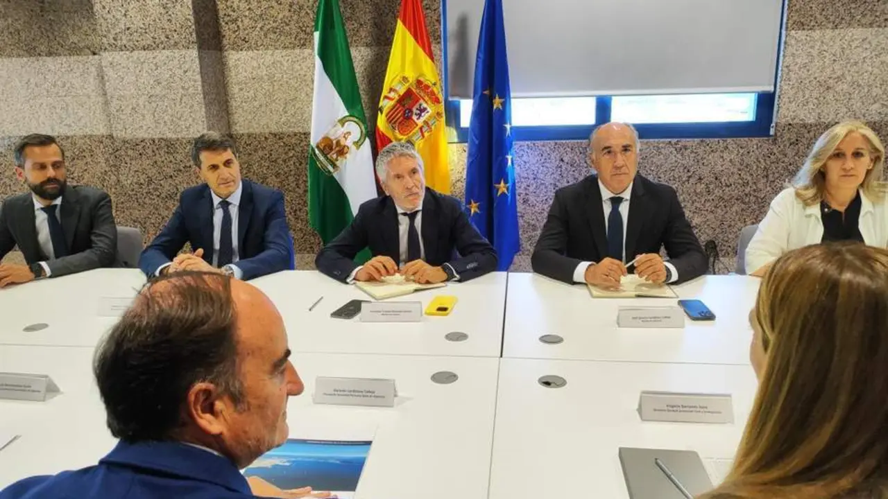 Marlaska, durante la reuni&oacute;n del operativo de la OPE - D. F. V.