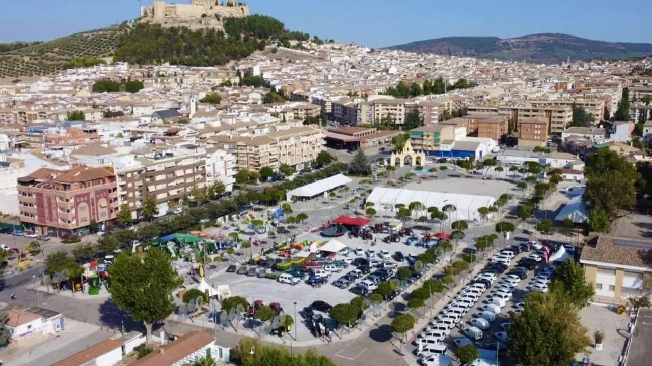 Vista a&eacute;rea de Alcal&aacute; Muestra.  - 