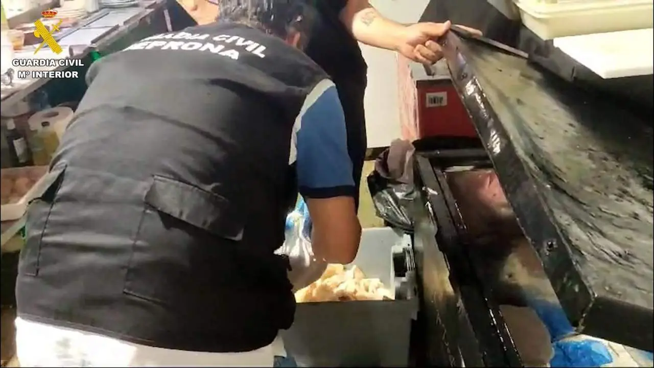 Imagen de una de las inspecciones desarrolladas en la feria - VIVA