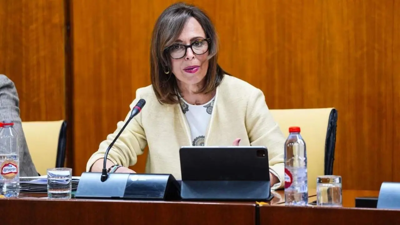 La consejera de Fomento, Roc&iacute;o D&iacute;az. - E. P.