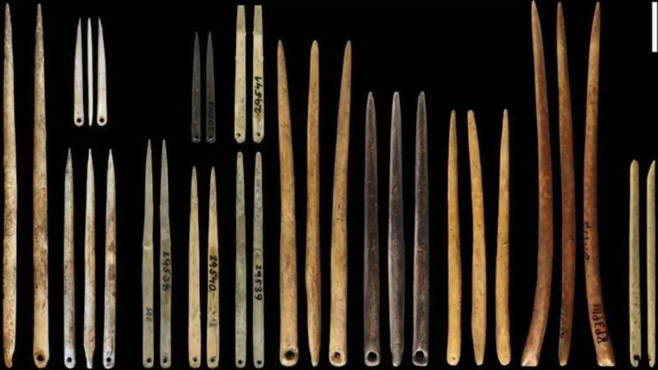 Muestrario de agujas excavadas en yacimientos arqueol&oacute;gicos. - UNIVERSIDAD DE SYDNEY