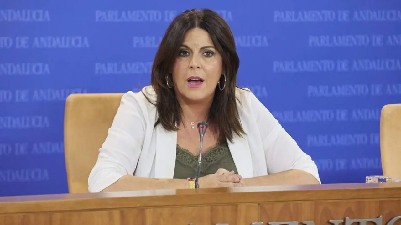 La portavoz del Grupo Parlamentario Socialista, &Aacute;ngeles F&eacute;rriz. - EP