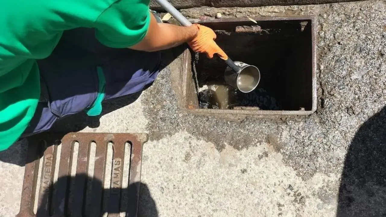 Test para detectar larvas de mosquito con el virus del Nilo. - Ayuntamiento de Guillena