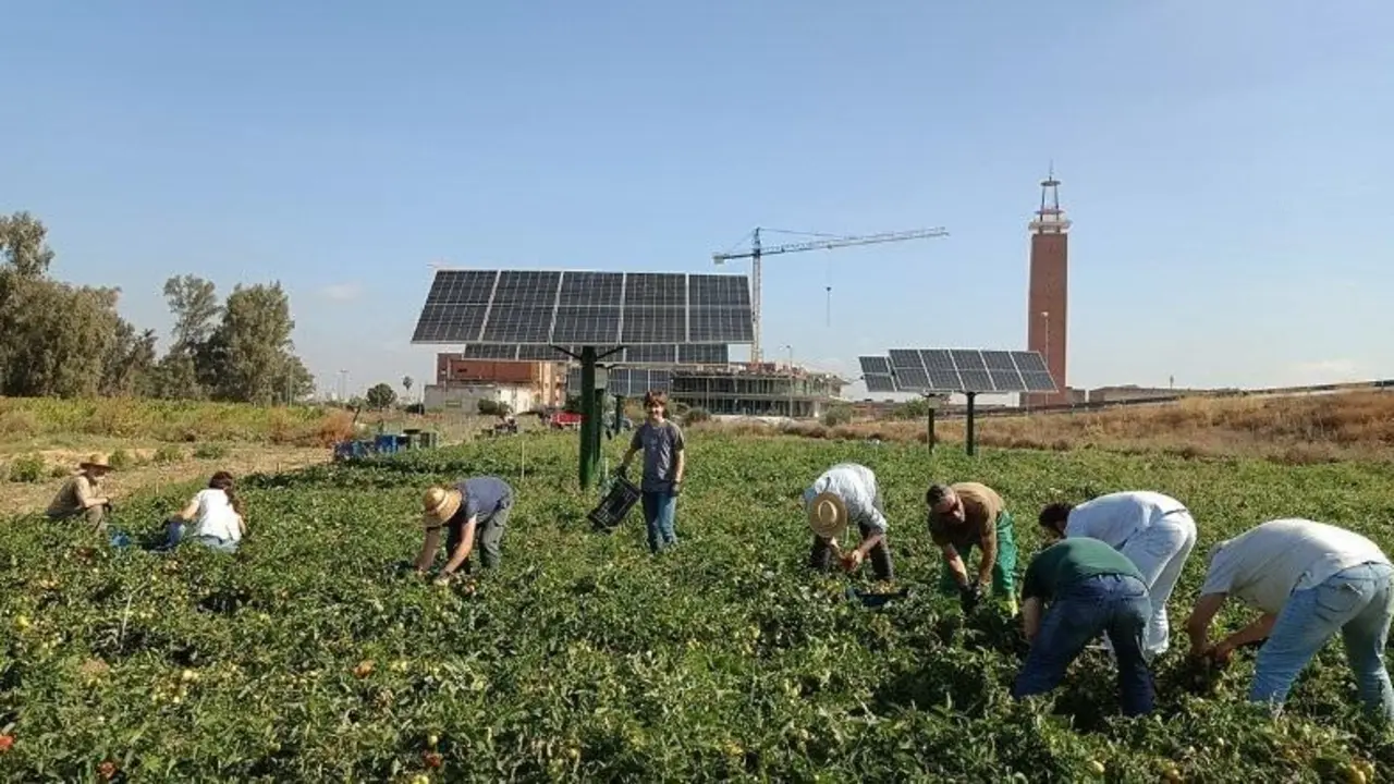 La US investiga cultivar hortalizas y generar energ&iacute;a el&eacute;ctrica. - EP.
