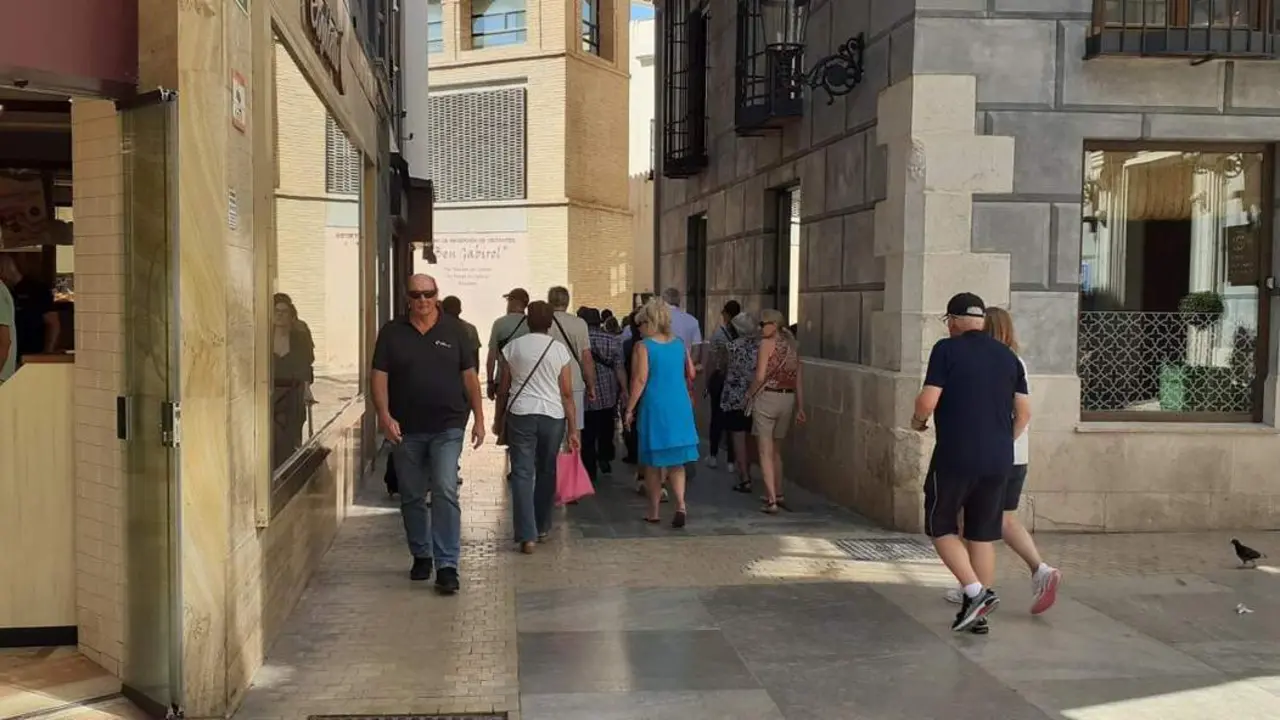 Turismo en el Centro de M&aacute;laga. - Arroyo