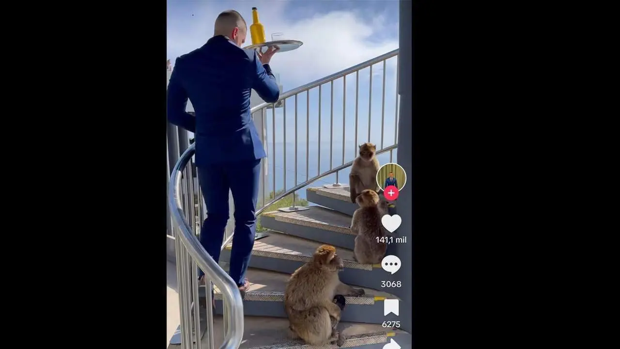 Cristian Ventura con los monos en Gibraltar. - Tik Tok / Cristian Ventura