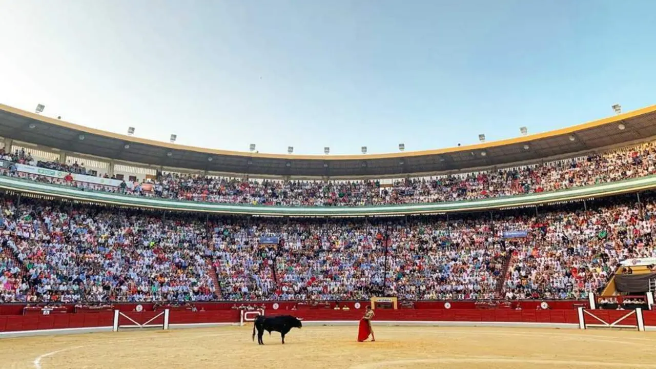Coso de la Alameda. - Tauroemoci&oacute;n 