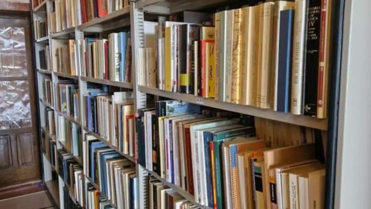 La biblioteca de Salvatierra. - EP