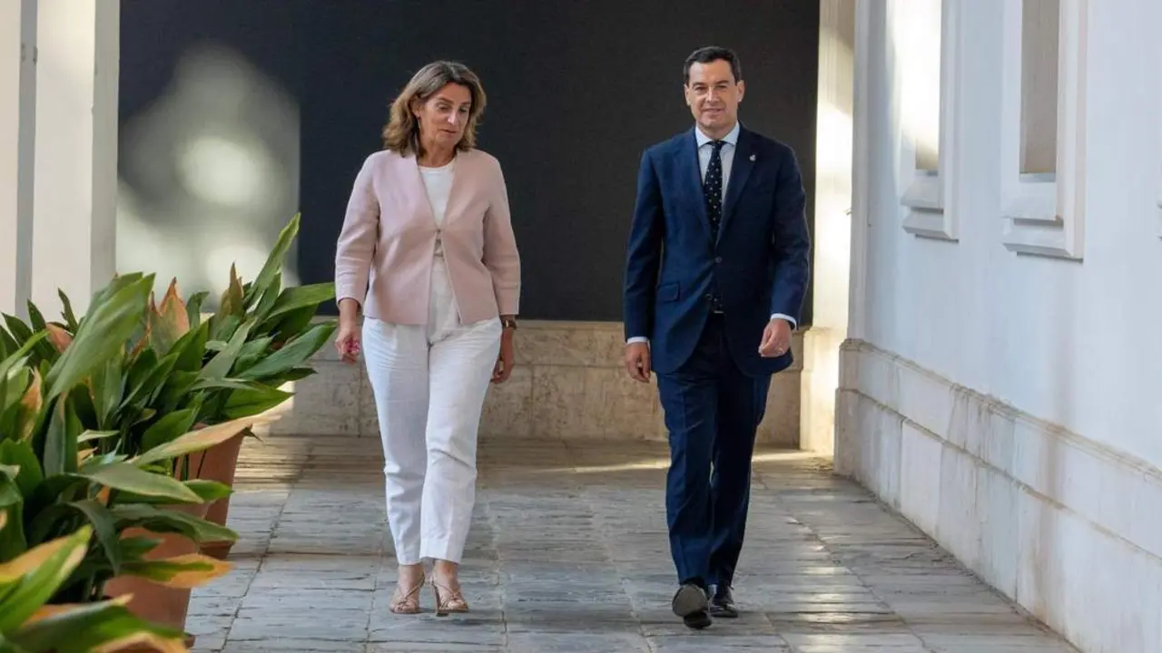 Volveremos a ver esta imagen el pr&oacute;ximo 22 de febrero. - Francisco J. Olmo / Europa Press