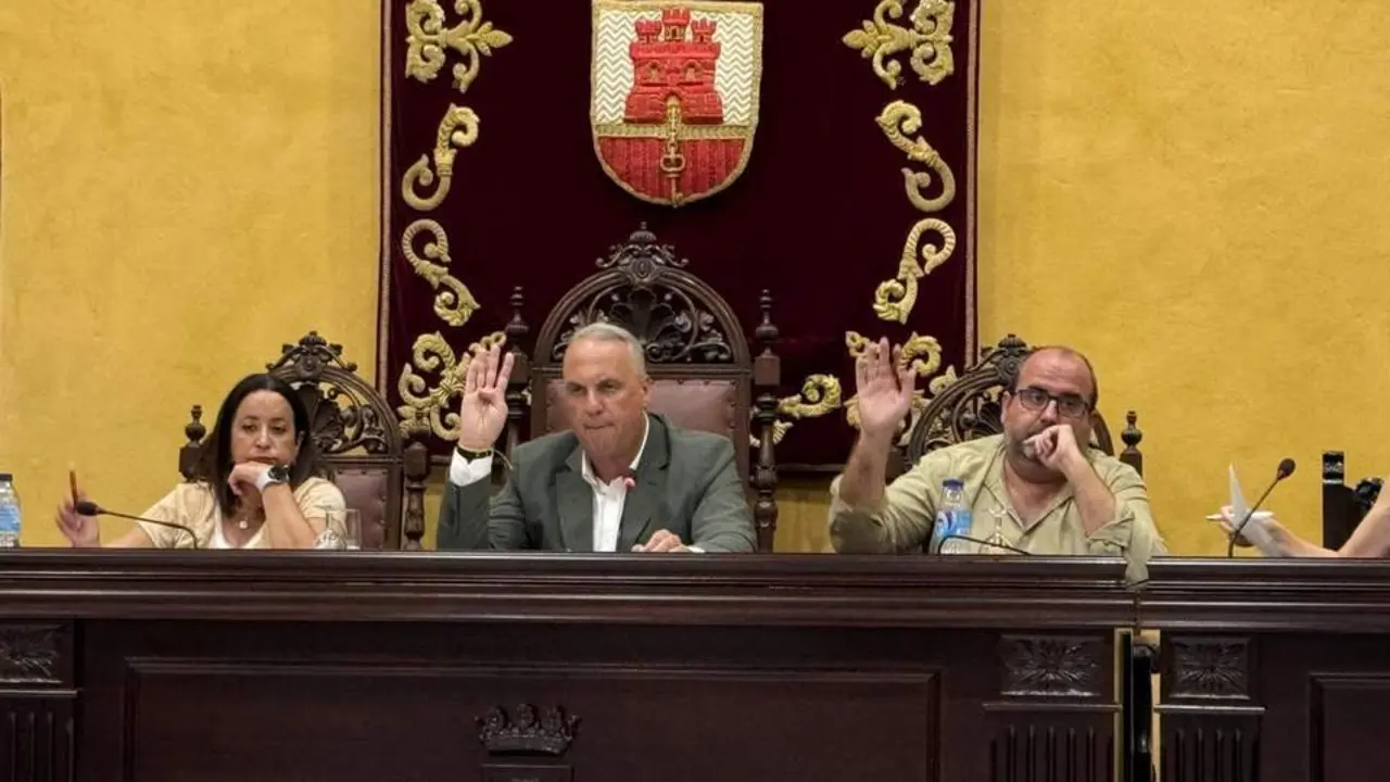Pleno de San Roque. - AI