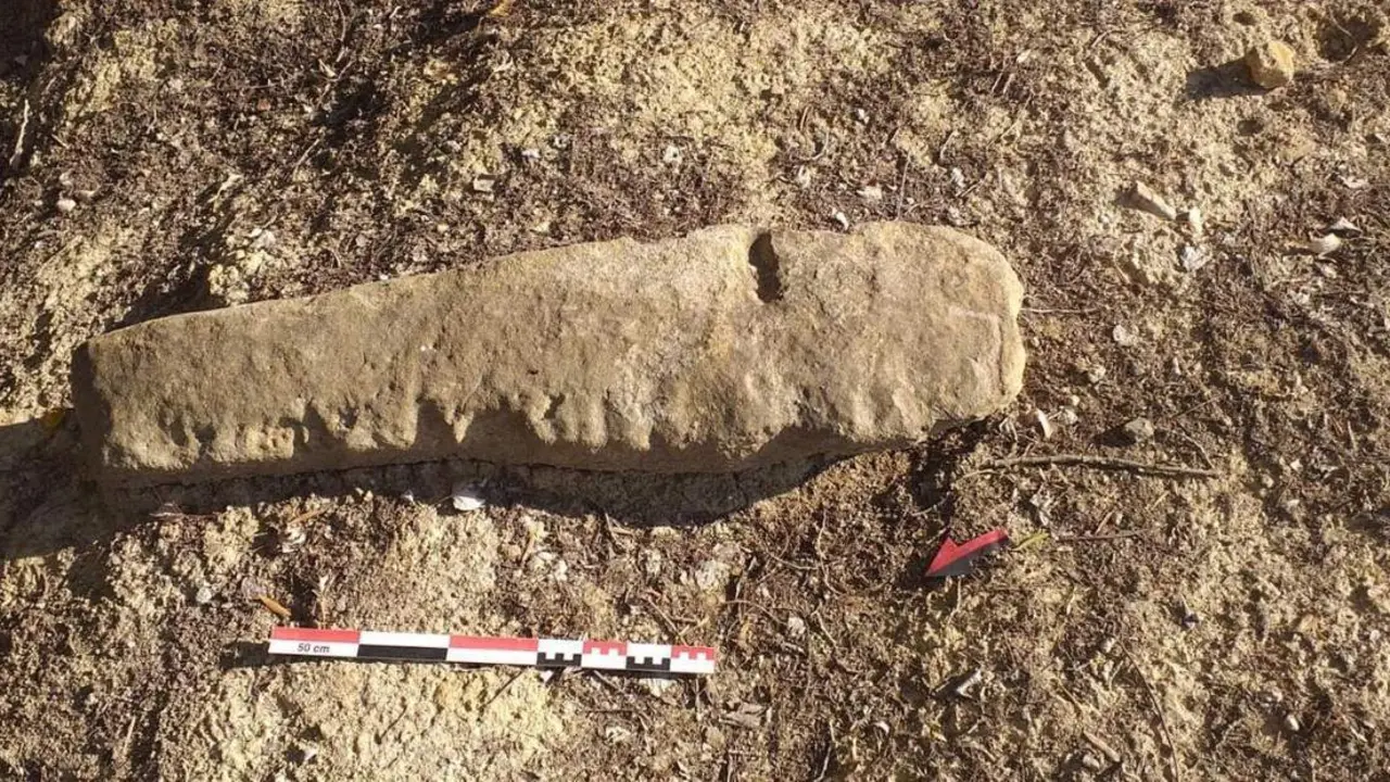 Restos hallados en la excavaci&oacute;n de Taralpe. - AYTO. ALHAUR&Iacute;N DE LA TORRE