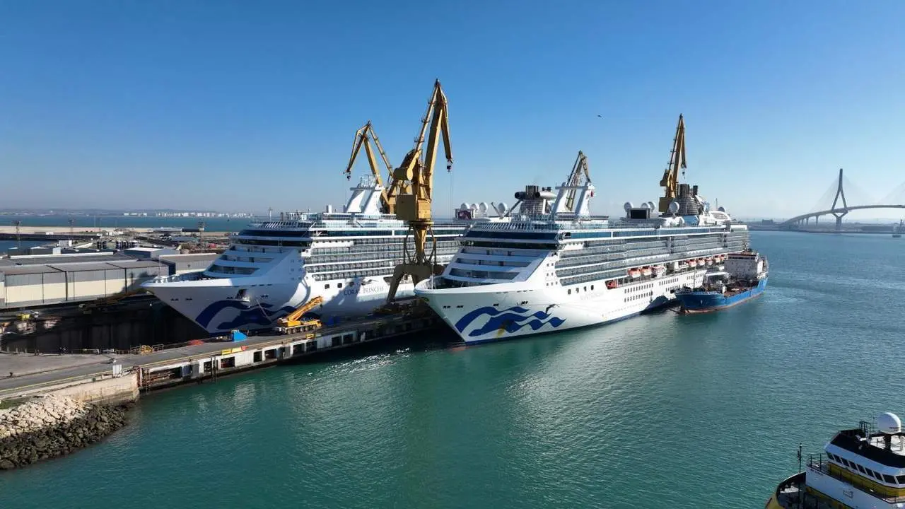 Cruceros en el astilleros de Navantia en C&aacute;diz. - E. P.