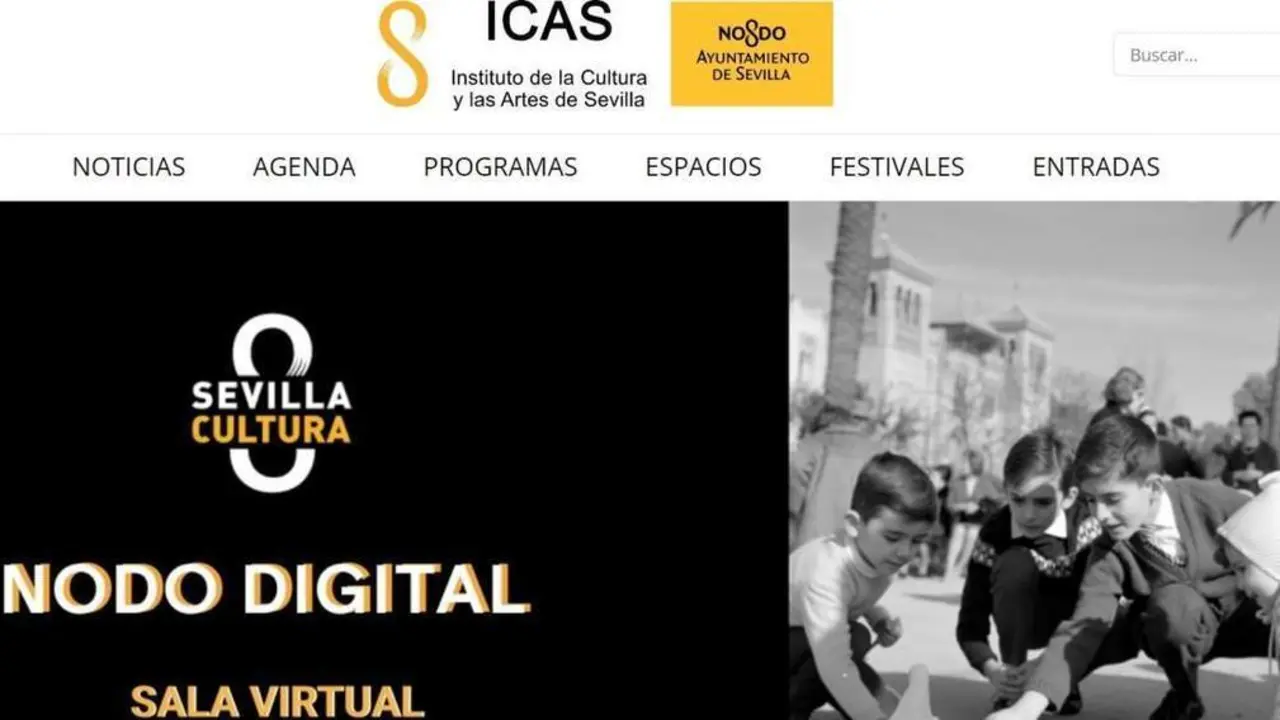 La web del ICAS. - EP