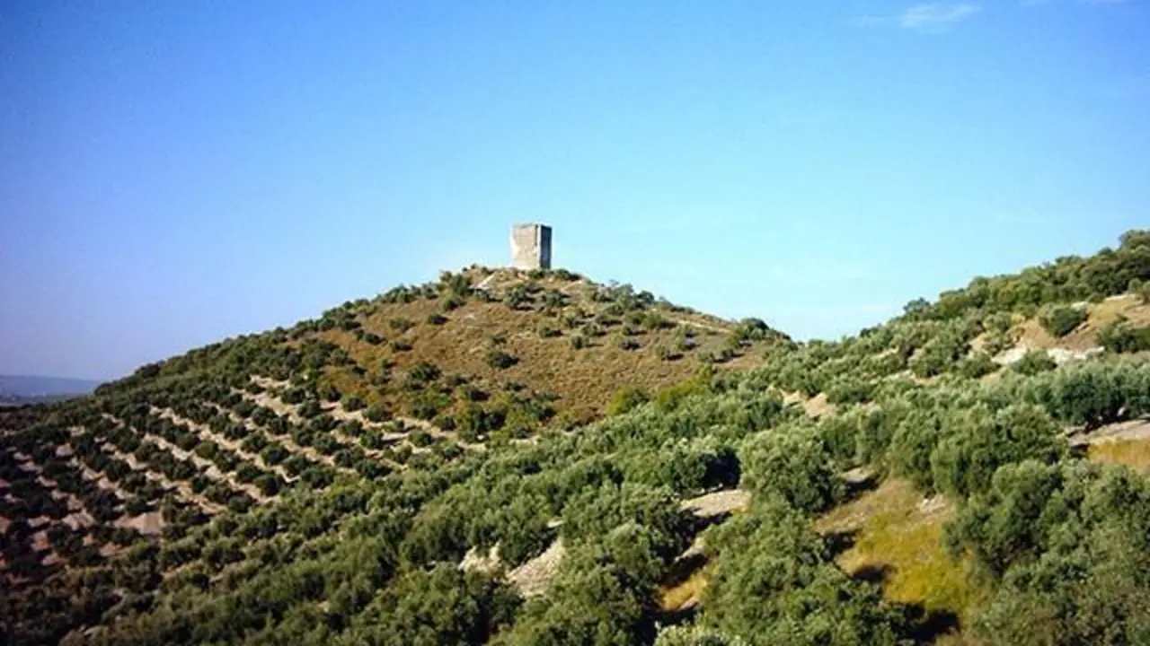 Castillo Anzur. - 