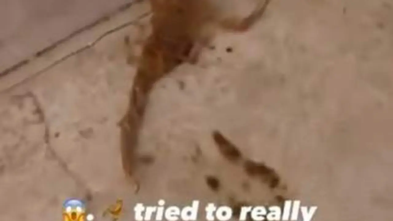  - 