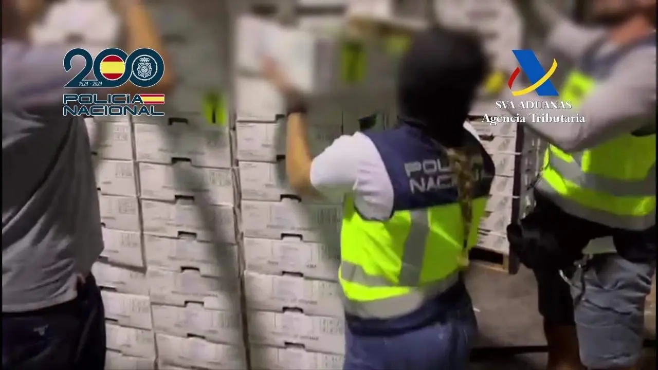 Pillados en M&aacute;laga: escond&iacute;an casi 700 kilos de coca en un cargamento de pi&ntilde;as