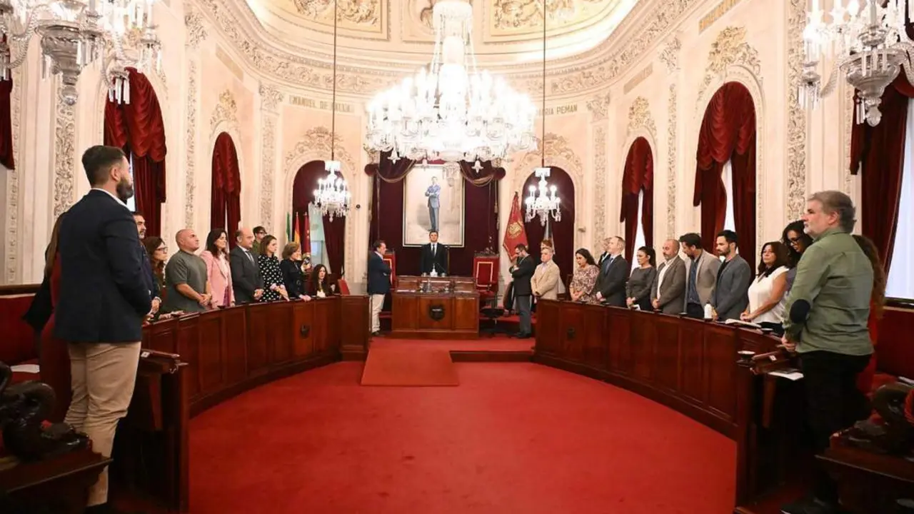 Pleno extraordinario para impulsr el proyecto de Navalips. - VIVA