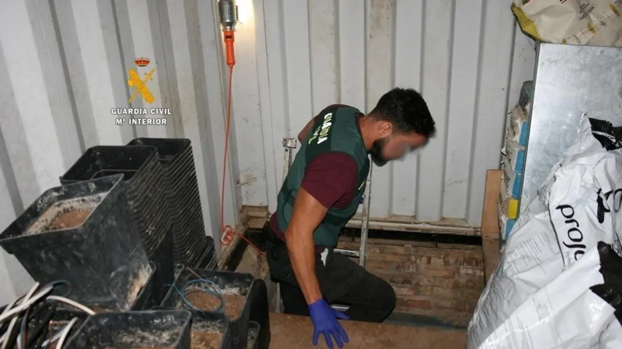 Agentes de la Guardia Civil en la operaci&oacute;n 'DUX'. - Guardia Civil