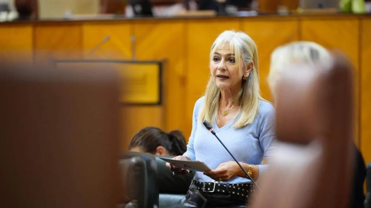 La consejera de Cultura, Patricia del Pozo. - VIVA