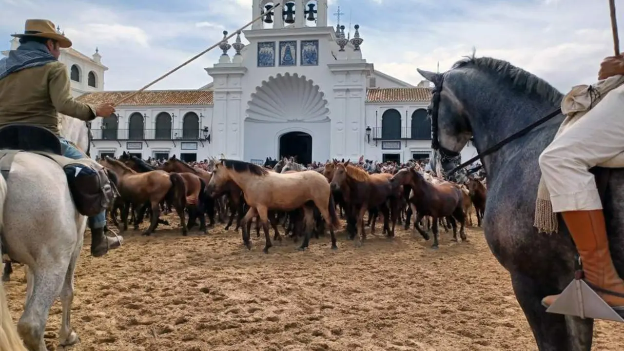 Paso de las yeguas y sus potros ante el Santuario del Roc&iacute;o. - JUAN CHICANO / EFE