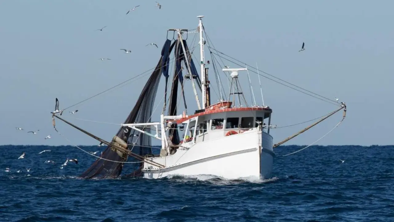 Pesca Golfo de C&aacute;diz - J.A
