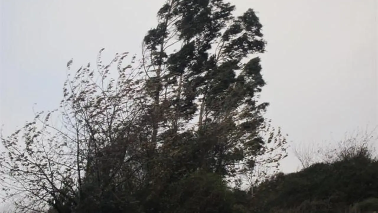 Viento - EP