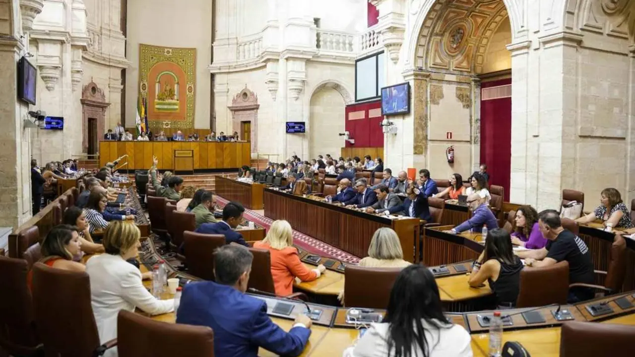 Pleno del Parlamento de Andaluc&iacute;a. - EP