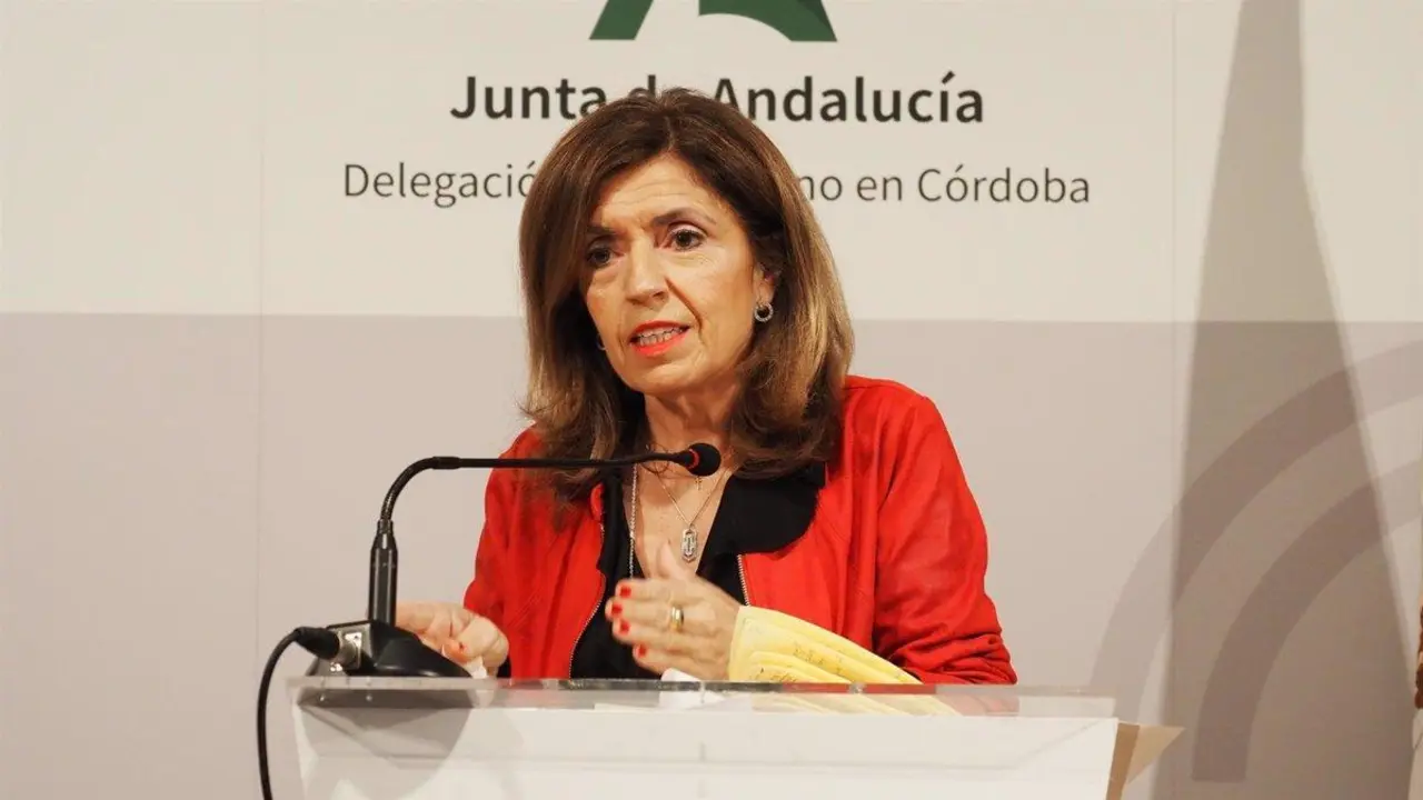 Mar&iacute;a Jes&uacute;s Botella, delegada de Salud y Consumo. - 